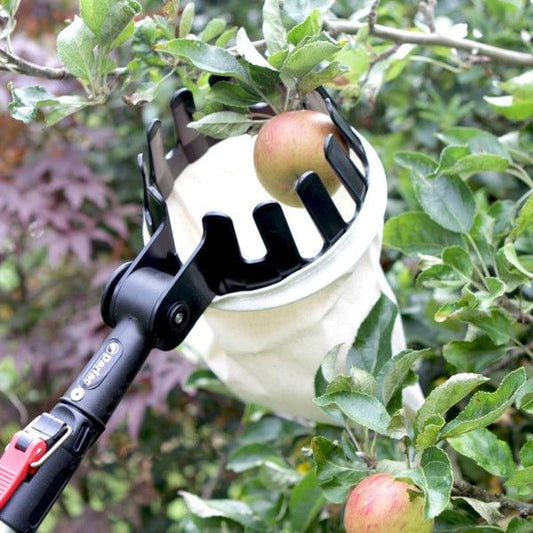 Fruit Picking Tool With Storage Bag