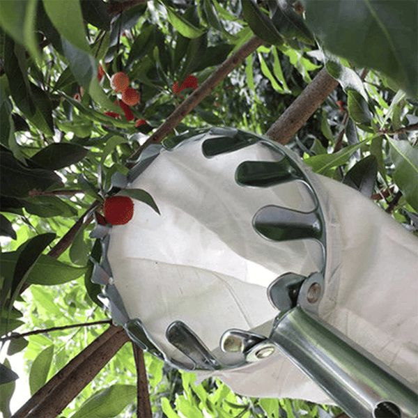 Fruit Picking Tool With Storage Bag
