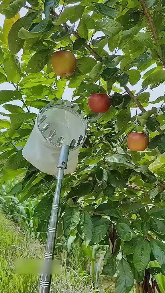 Fruit Picking Tool With Storage Bag